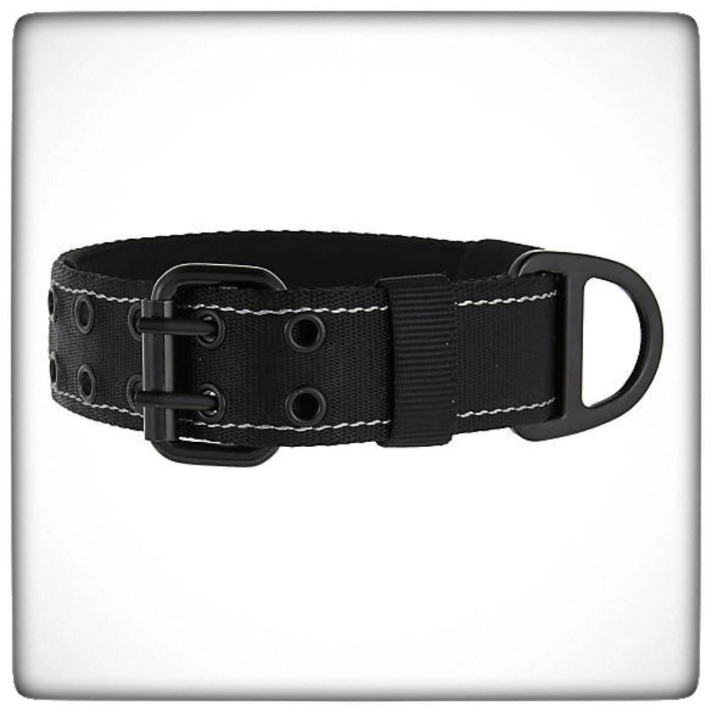 Dog KONG MAX Buckle Dog Collar-M